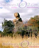 Matobo Hills, photograph 25 of 37
