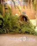 Dominican Convent, Bulawayo, photograph 16 of 50