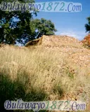 Khami, photograph 14 of 34