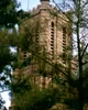 St Mary's Cathedral, photograph 10 of 12