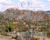 Matobo Hills, photograph 28 of 37