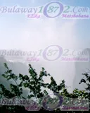 Victoria Falls, photograph 13 of 44