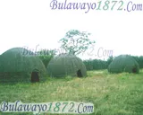 Old Bulawayo, photograph 16 of 23