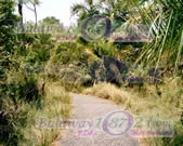 Victoria Falls, photograph 24 of 44