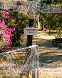 Plumtree School, photograph 25 of 33