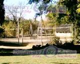 Plumtree School, photograph 15 of 33