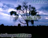 Sunsets, photograph 2 of 10