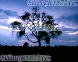 Sunsets, photograph 7 of 10