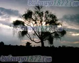 Sunsets, photograph 10 of 10