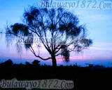 Sunsets, photograph 6 of 10