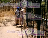 Fencing surrounding the Falls