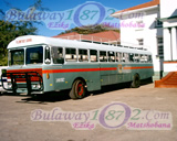 Plumtree School Bus