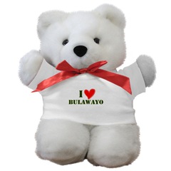 I love bulawayo Teddy Bear